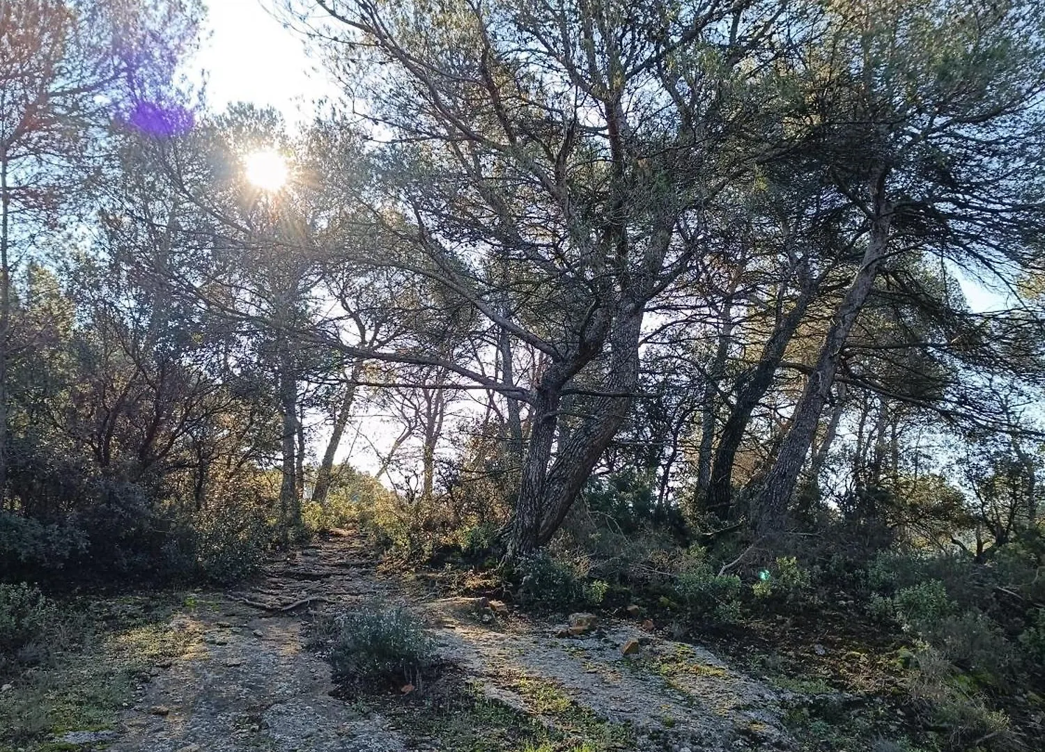 Le Refuge Des Cigalons Villa Cavaillon France